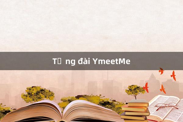 Tổng đài YmeetMe