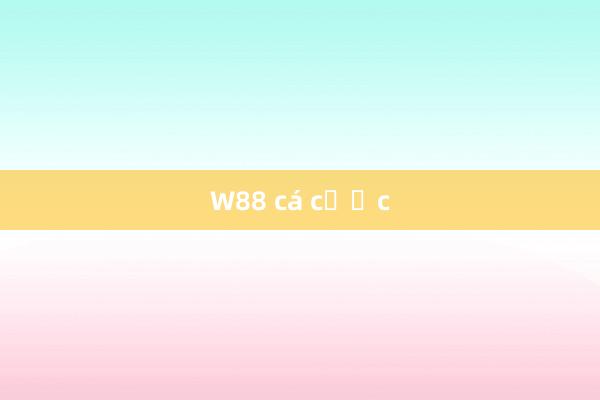 W88 cá cược