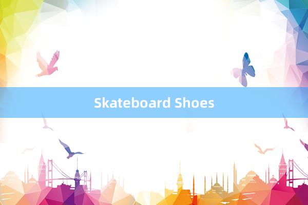 Skateboard Shoes