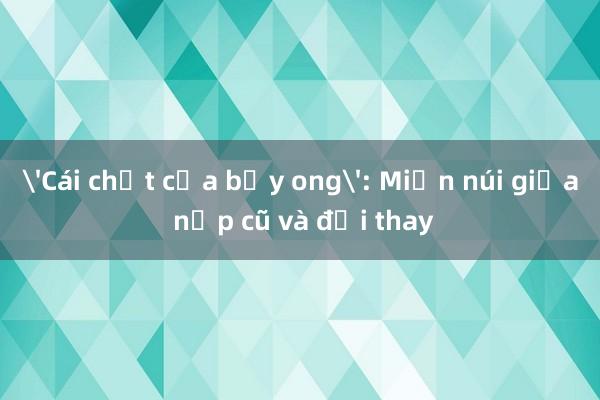 'Cái chết của bầy ong': Miền núi giữa nếp cũ và đổi thay