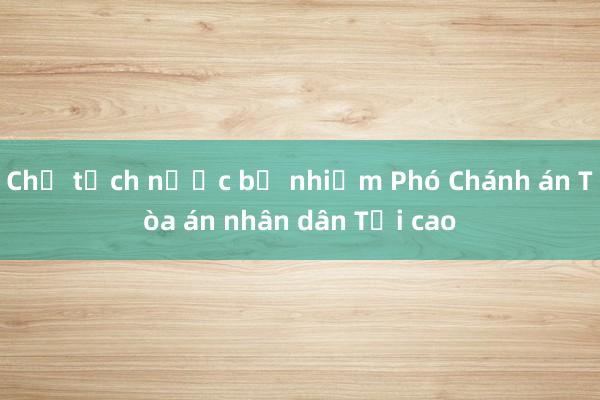 Chủ tịch nước bổ nhiệm Phó Chánh án Tòa án nhân dân Tối cao