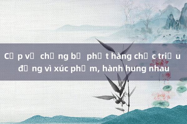 Cặp vợ chồng bị phạt hàng chục triệu đồng vì xúc phạm， hành hung nhau