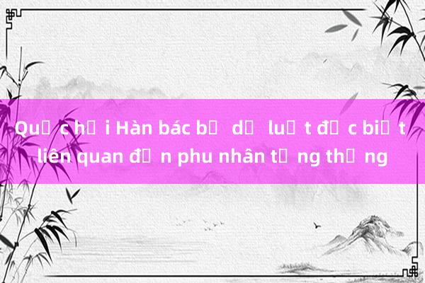 Quốc hội Hàn bác bỏ dự luật đặc biệt liên quan đến phu nhân tổng thống