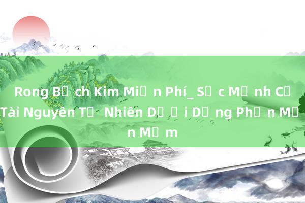 Rong Bạch Kim Miễn Phí_ Sức Mạnh Của Tài Nguyên Tự Nhiên Dưới Dạng Phần Mềm