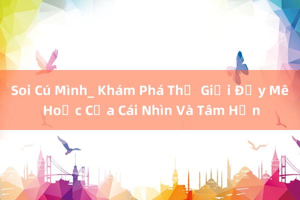 Soi Cú Mình_ Khám Phá Thế Giới Đầy Mê Hoặc Của Cái Nhìn Và Tâm Hồn