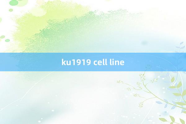 ku1919 cell line