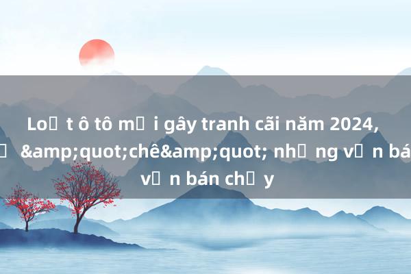 Loạt ô tô mới gây tranh cãi năm 2024， có xe bị &quot;chê&quot; nhưng vẫn bán chạy