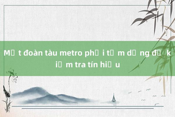 Một đoàn tàu metro phải tạm dừng để kiểm tra tín hiệu