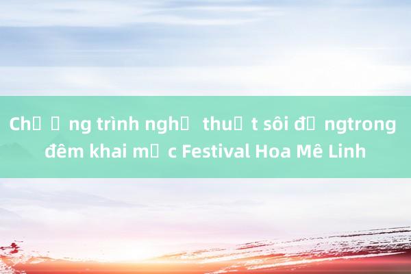 Chương trình nghệ thuật sôi độngtrong đêm khai mạc Festival Hoa Mê Linh