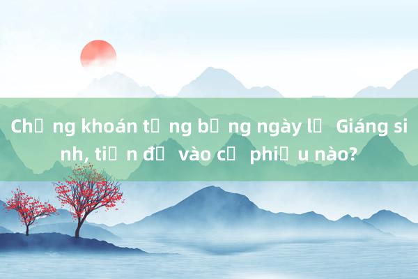 Chứng khoán tưng bừng ngày lễ Giáng sinh， tiền đổ vào cổ phiếu nào?