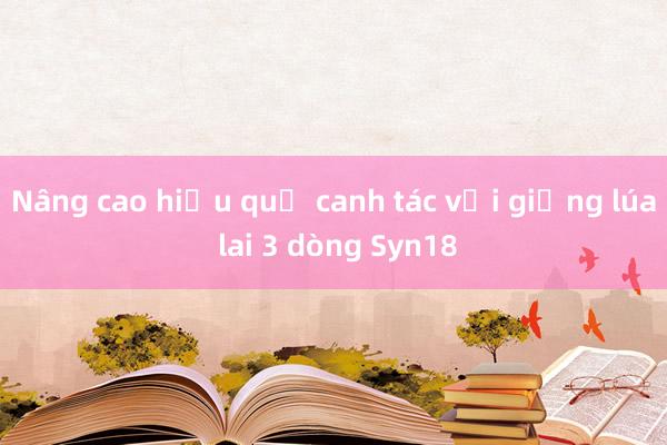 Nâng cao hiệu quả canh tác với giống lúa lai 3 dòng Syn18