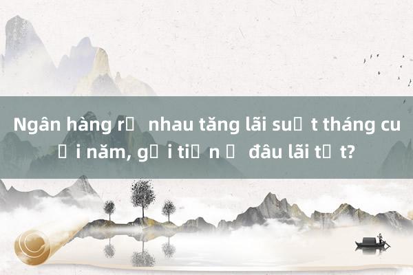 Ngân hàng rủ nhau tăng lãi suất tháng cuối năm, gửi tiền ở đâu lãi tốt?