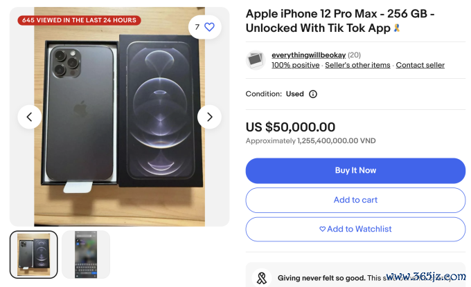 Một chiếc iPhone 12 Pro Max cài sẵn TikTok được rao trên eBay với giá tới 50，000 USD.